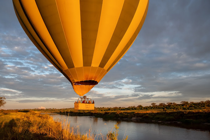 Journey Through the Heart of the Serengeti: A Wildlife Odyssey